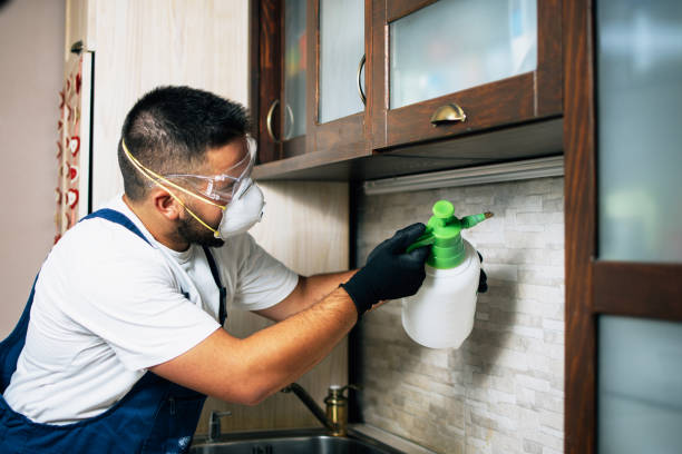 Best Pest Control for Homes  in Emporia, VA