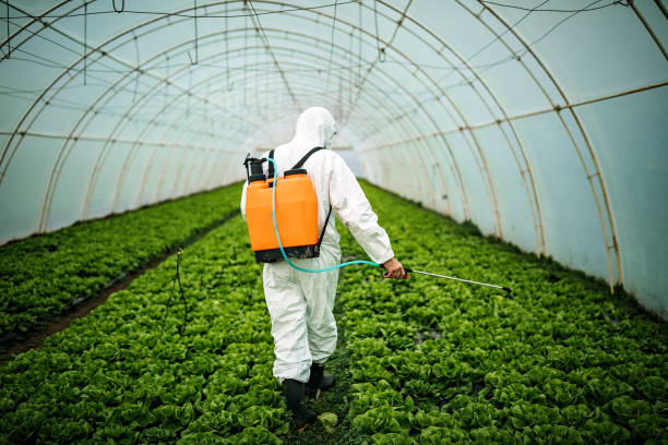 Best Pest Inspection Near Me  in Emporia, VA