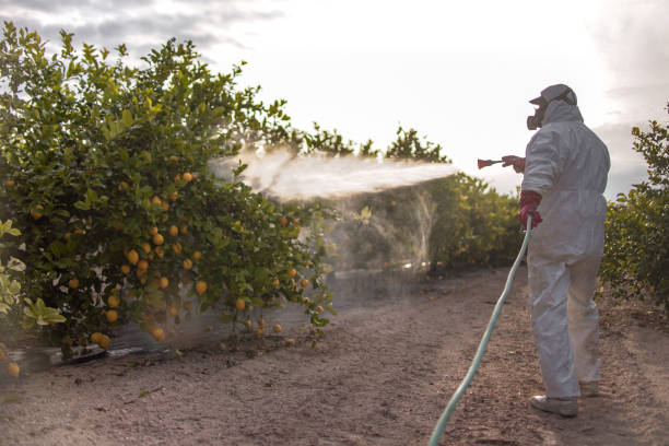 Best Affordable Pest Control Services  in Emporia, VA